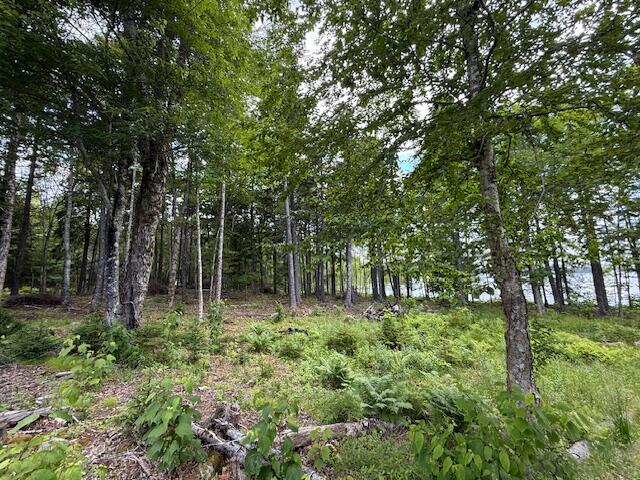 96 Indian Trail Road East Machias, ME 04630 - Photo 118 of 119 IMG_0214 (1)