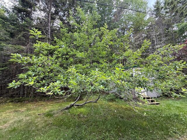 96 Indian Trail Road East Machias, ME 04630 - Photo 36 of 119 IMG_0198