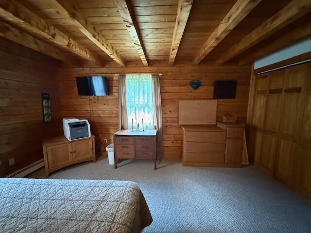 96 Indian Trail Road East Machias, ME 04630 - Photo 66 of 119 IMG_0247 (2)