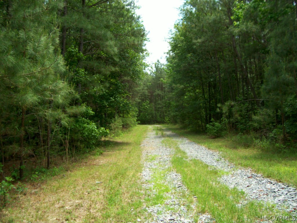833 Crouches Road Bruington, VA 23023 - Photo 6 of 6 Gallery Image 6