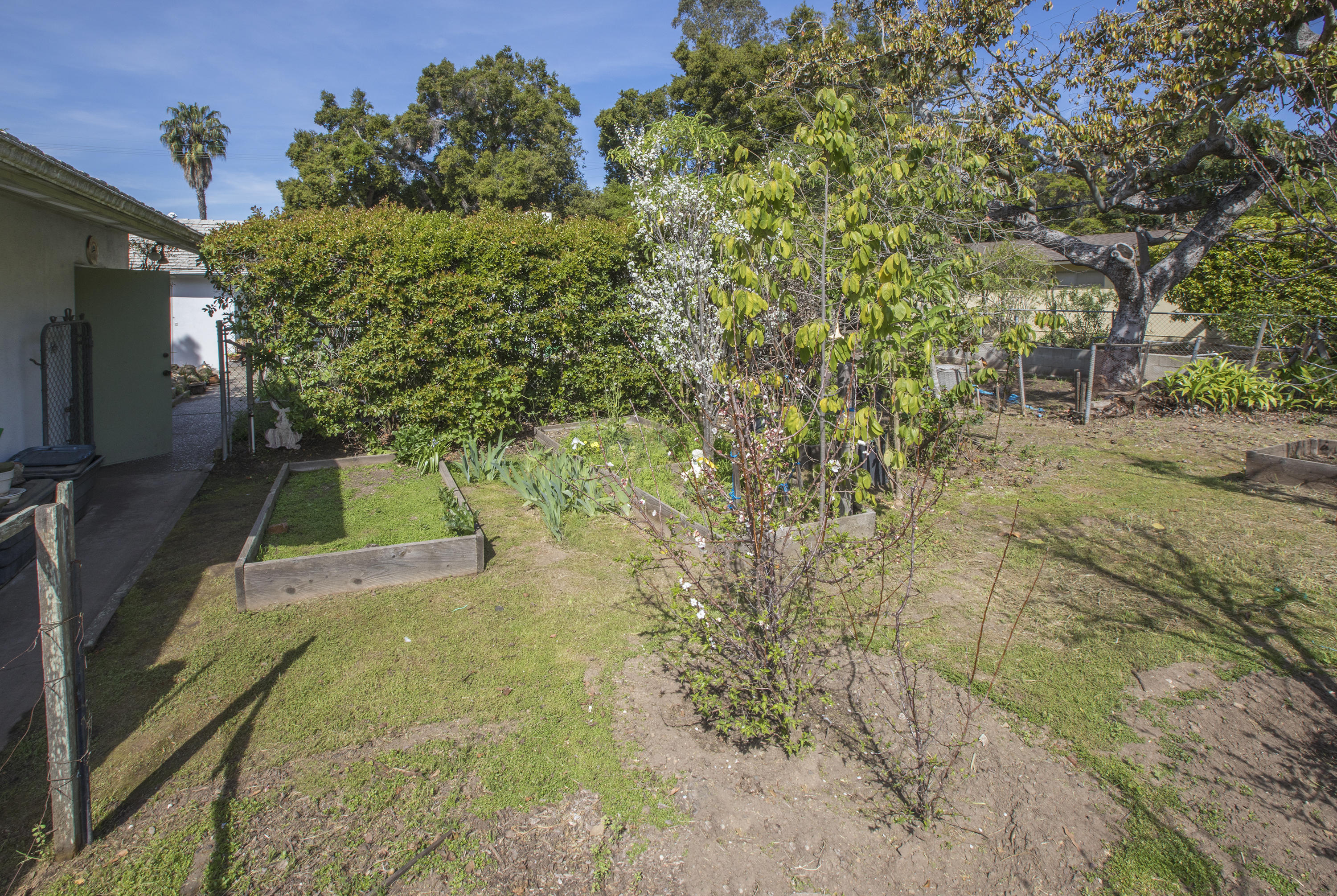 430 North Ontare Road Santa Barbara, CA 93105 - Photo 13 of 15 Orchard