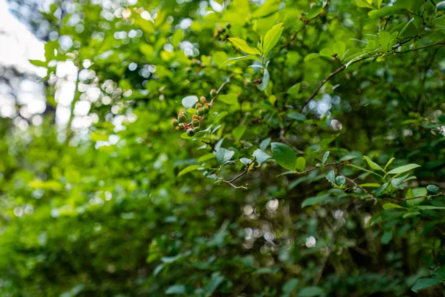 $1,545,000 | 4351-4353 Poverty Creek Road, Crestview, FL 32539