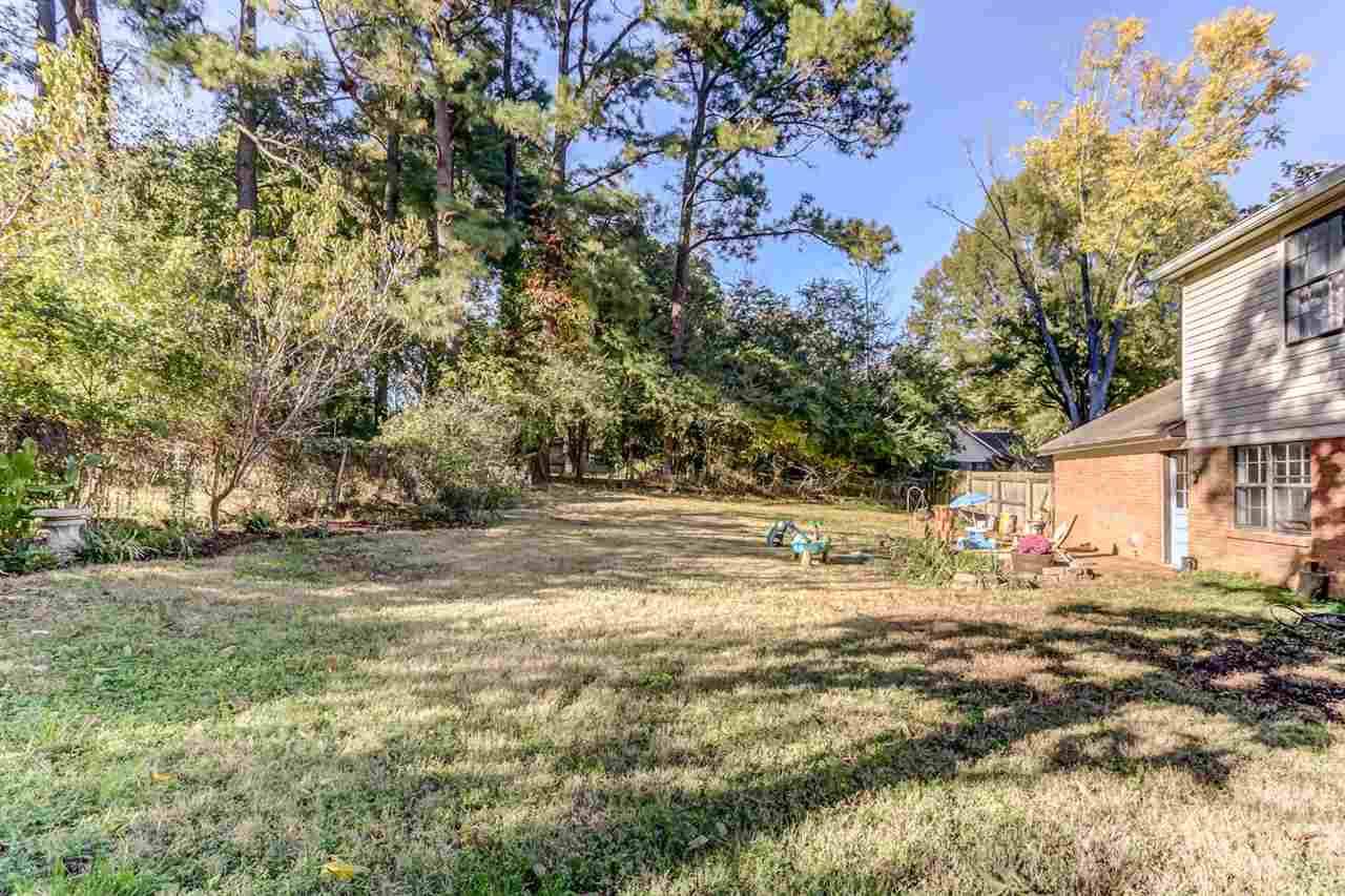 381 Rutledge Street Collierville, TN 38017 - Photo 23 of 23 a view of a yard with a house