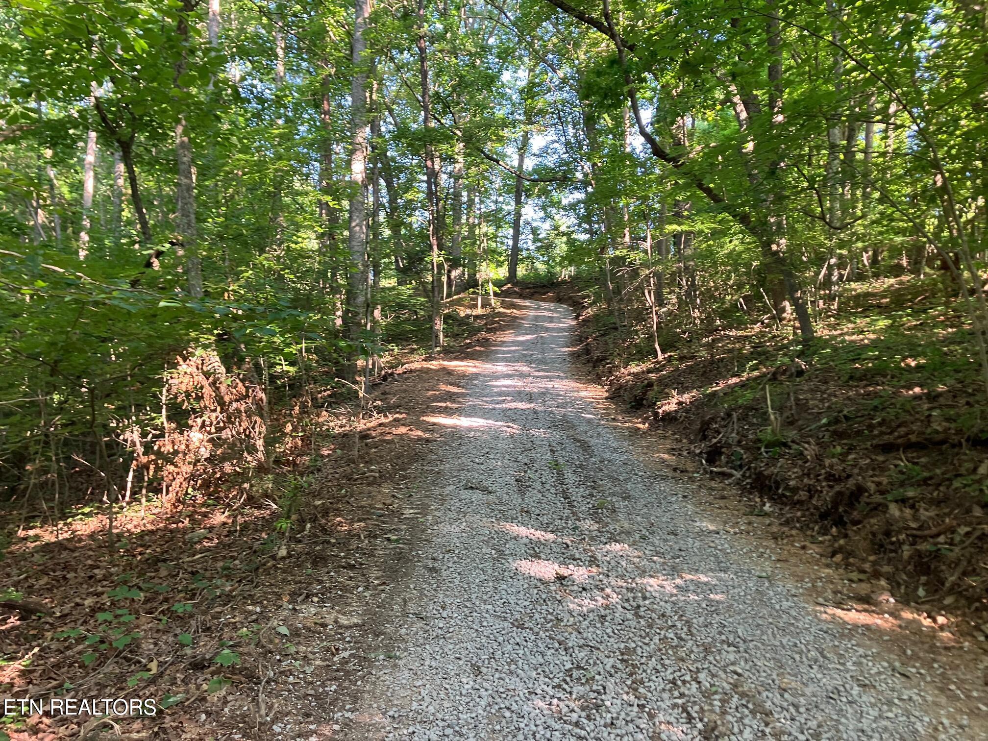 2 Graves Hollow Road Maynardville, TN 37807 - Photo 5 of 13 IMG_6176