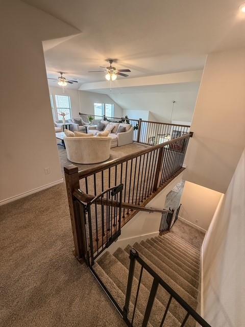 2129 Stinnet Street Anna, TX 75409 - Photo 22 of 31