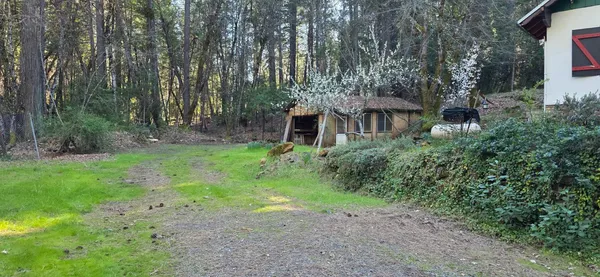a view of backyard with green space