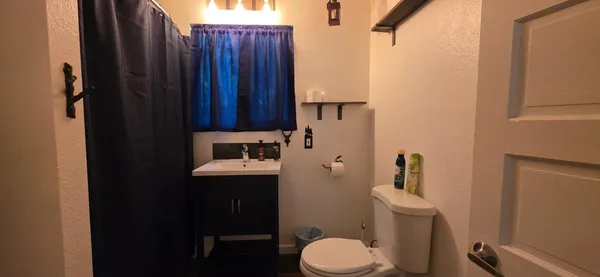a bathroom with a sink a toilet and shower curtain