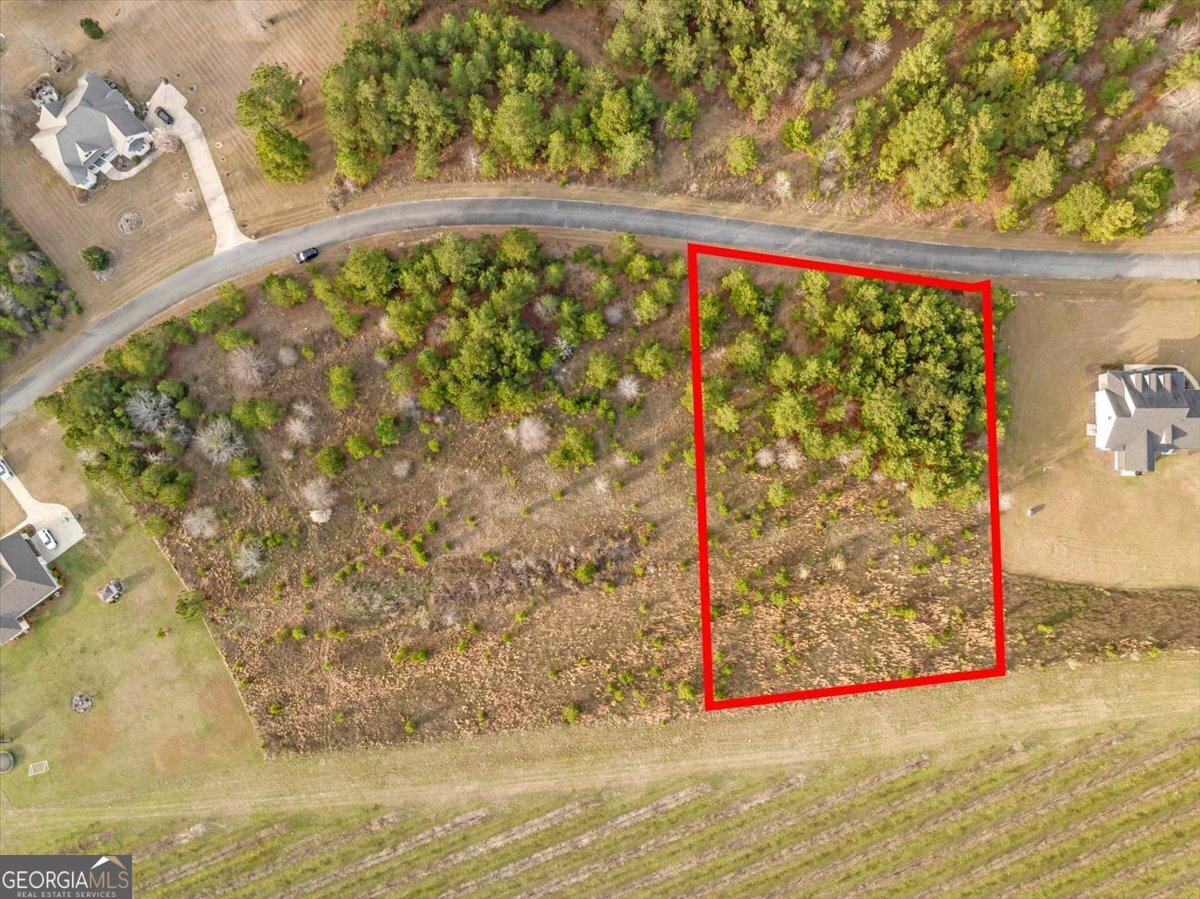 0 Woodland Trail Road Cochran, GA 31014 - Photo 1 of 1 Gallery Image 1