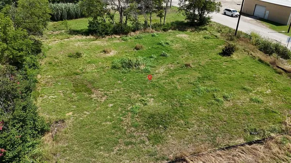 a view of a lush green forest