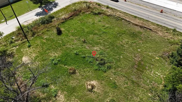 a view of a yard with plants