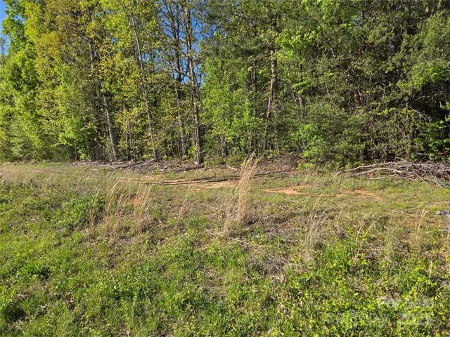a view of a yard with a tree