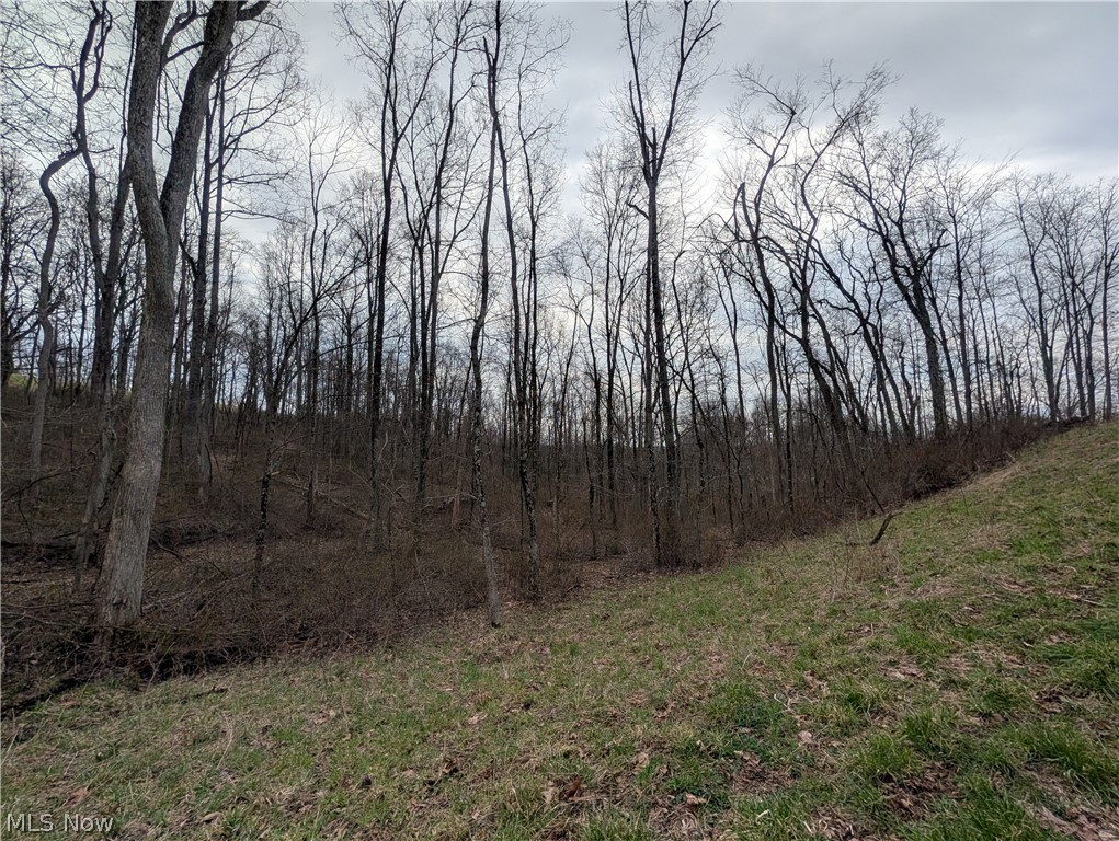 39000 Lees Run Road Cadiz, OH 43907 - Photo 42 of 49