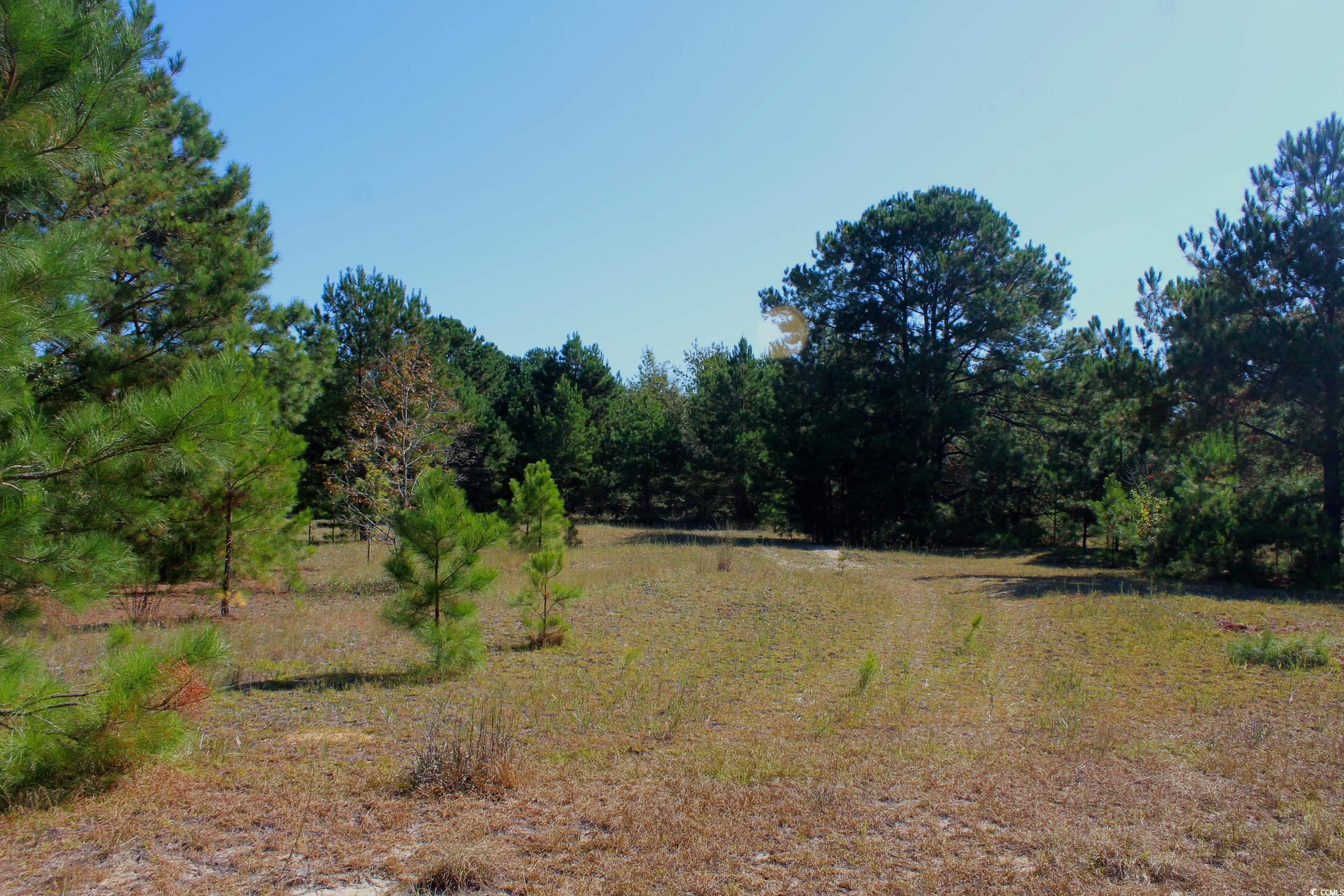 1-tbd Dew Rd 1-tbd Dew Road Marion, SC 29571 - Photo 13 of 29 Gallery Image 13