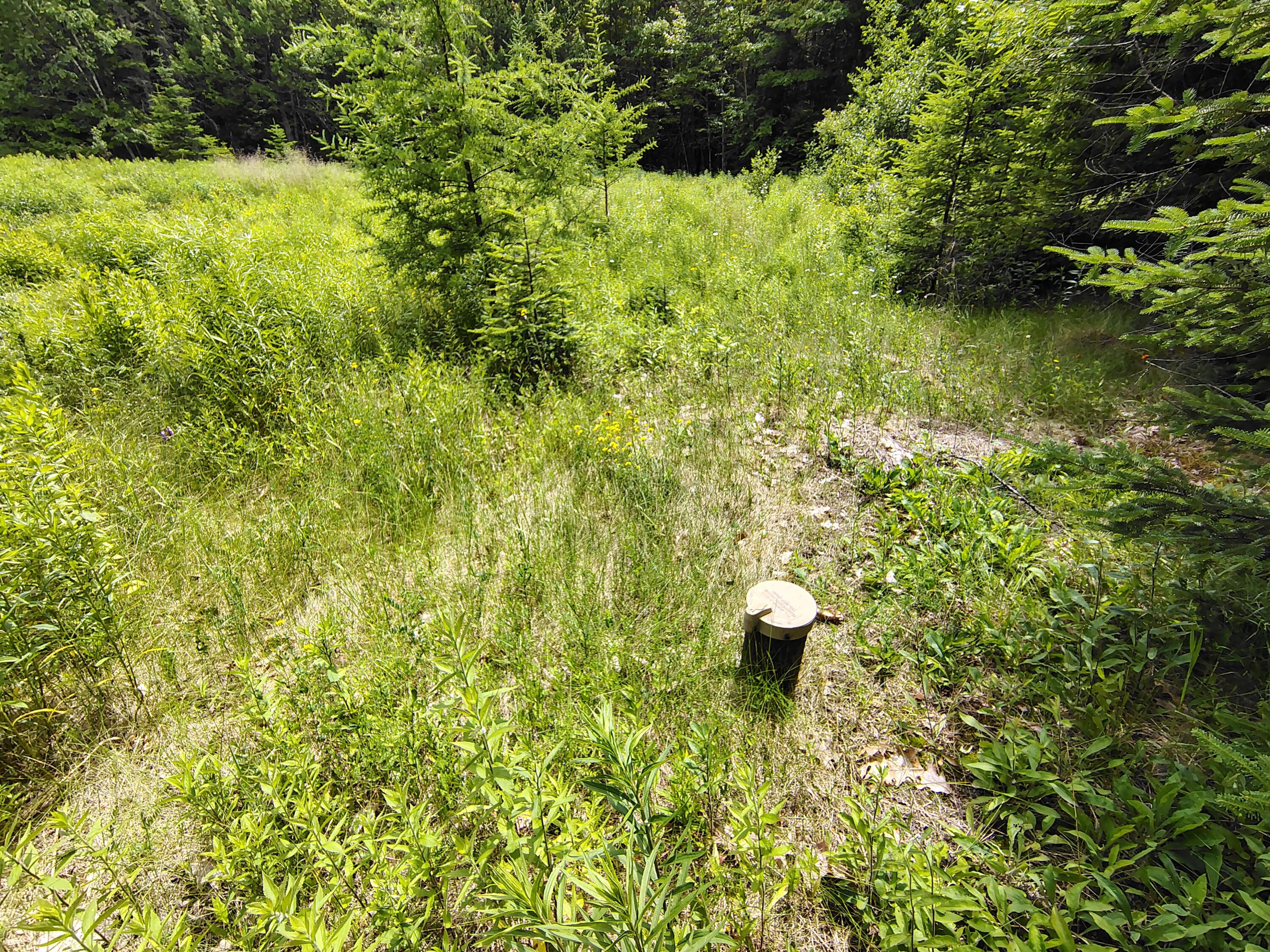 916 U.S. Rte 1 Jonesboro, ME 04648 - Photo 5 of 17 Drilled 100 GPM 250' Well