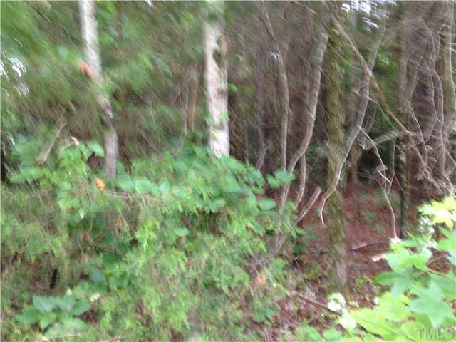 Stagecoach Road Henderson, NC 27537 - Photo 1 of 2 Photo 1