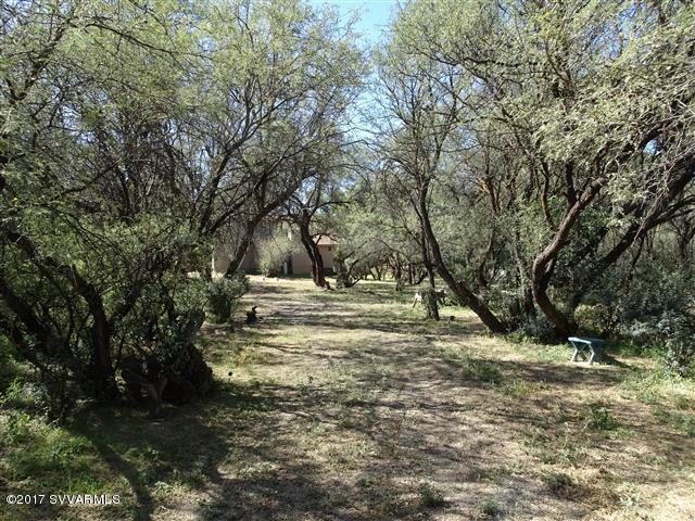 TREES