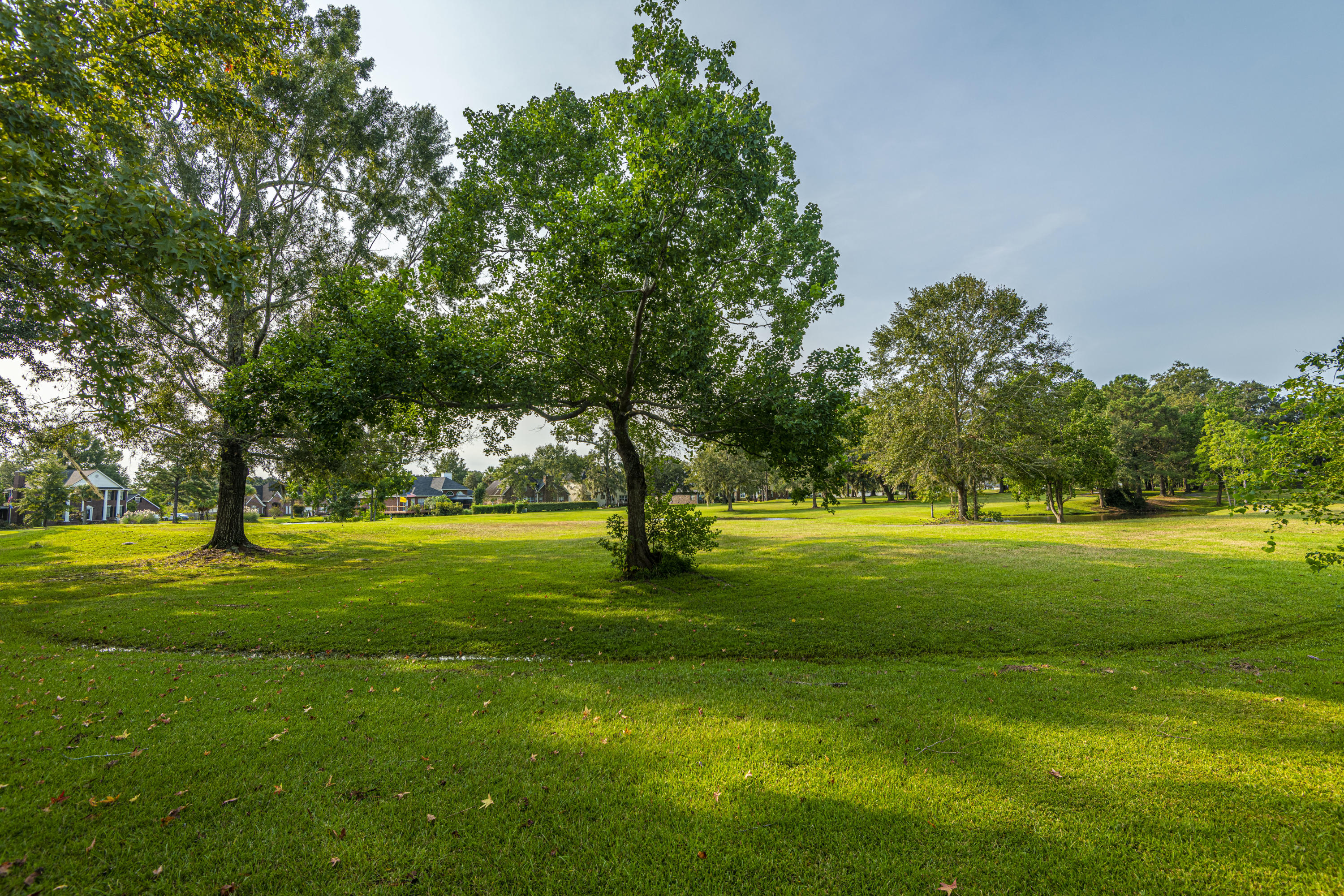 1321 Starling Road Hanahan, SC 29410 - Photo 42 of 42 DSC_2774