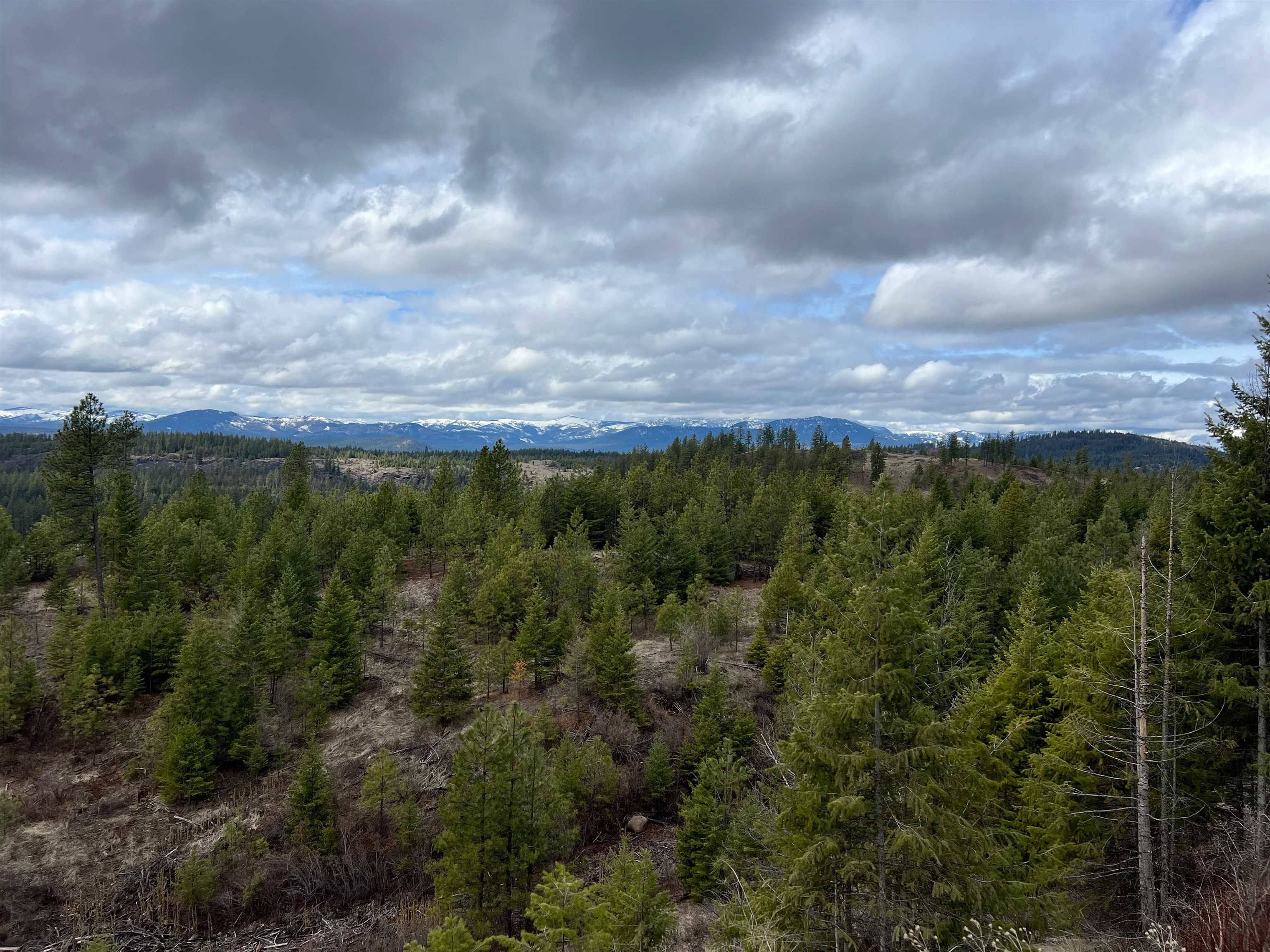 352 X Green Road Valley, WA 99181 - Photo 4 of 32