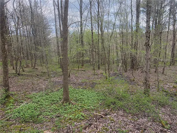 $55,000 | Clarence Church Road, South Otselic, NY 13155