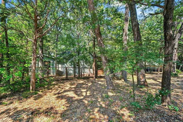 a view of a yard with plants and trees