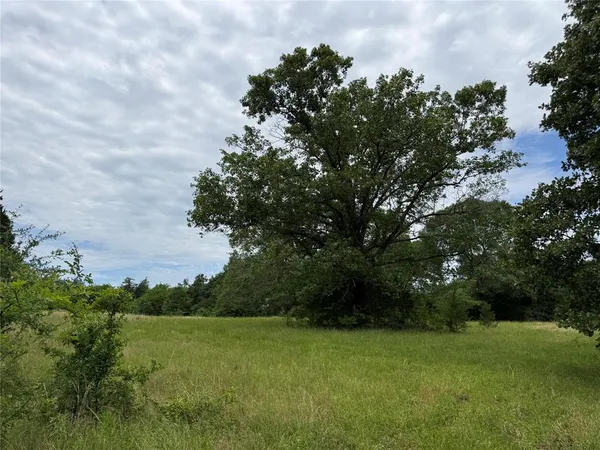 $125,000 | 4451 County Road 2295, Telephone, TX 75488