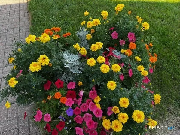 $2,350 | 44 Glenrock, Unit 44, Norwalk, CT 06850