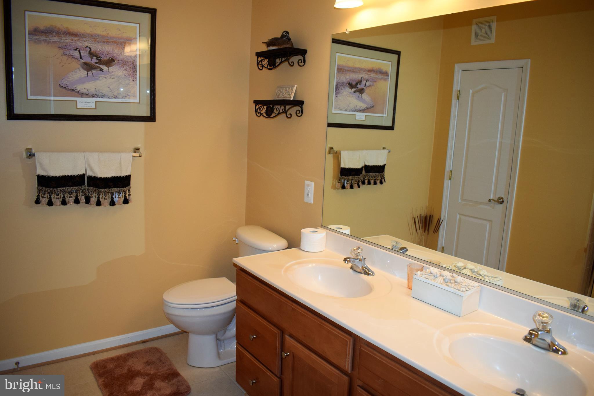 7335 Brookview Road, Unit 401 Elkridge, MD 21075 - Photo 9 of 18 Bath (Master)
