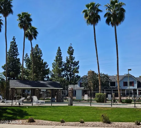 a front view of a garden with a palm tree