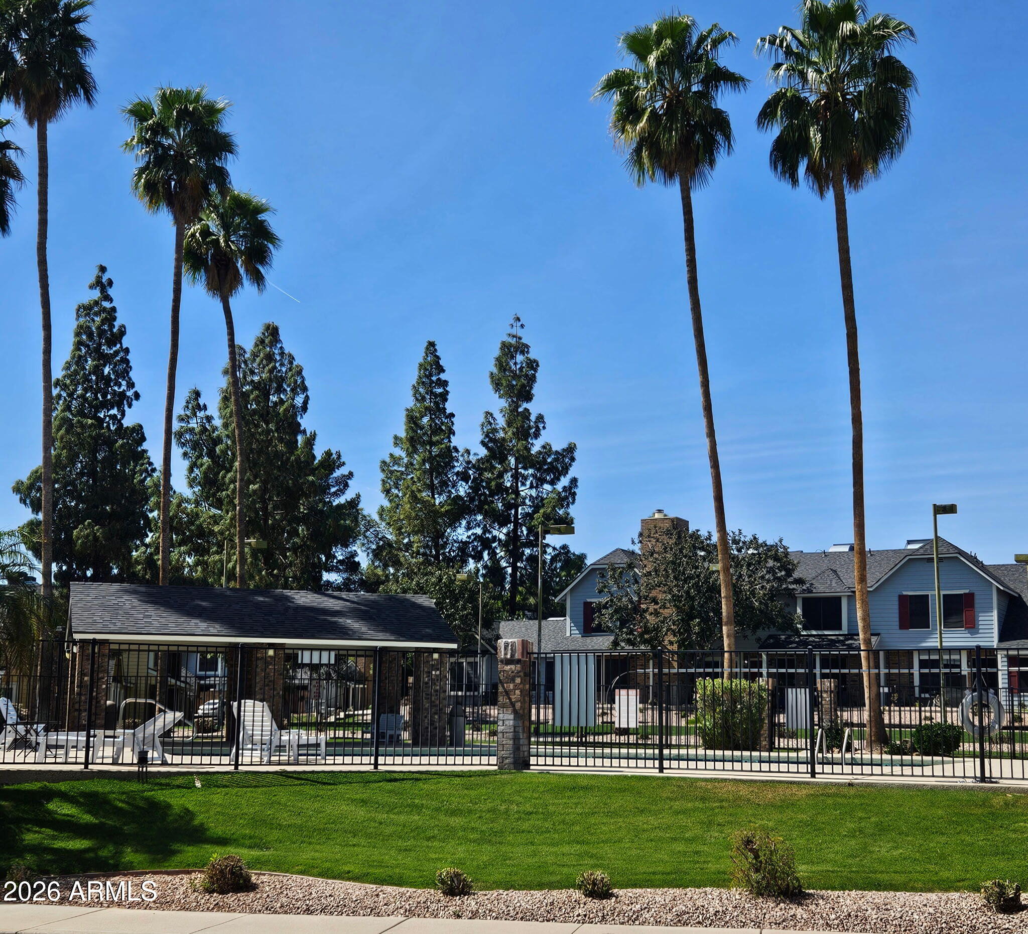 4835 East McNeil Street, Unit 2 Phoenix, AZ 85044 - Photo 15 of 21 a front view of a garden with a palm tree