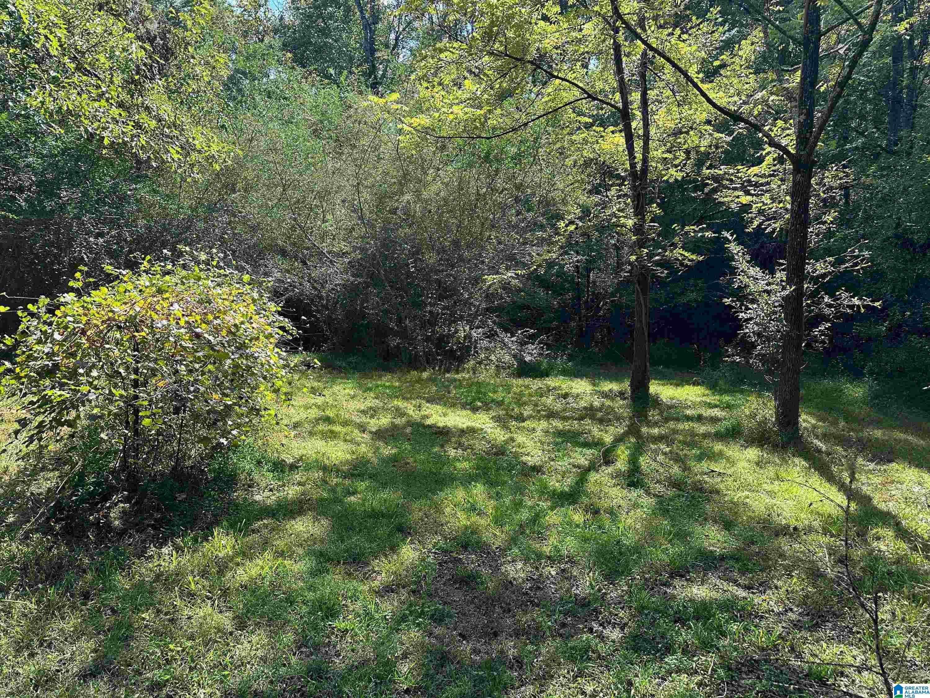 9204 Marsh Mountain Road Pinson, AL 35126 - Photo 43 of 56