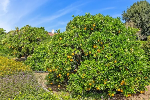 $1,289,900 | 1787 Armadale Road, Fallbrook, CA 92028