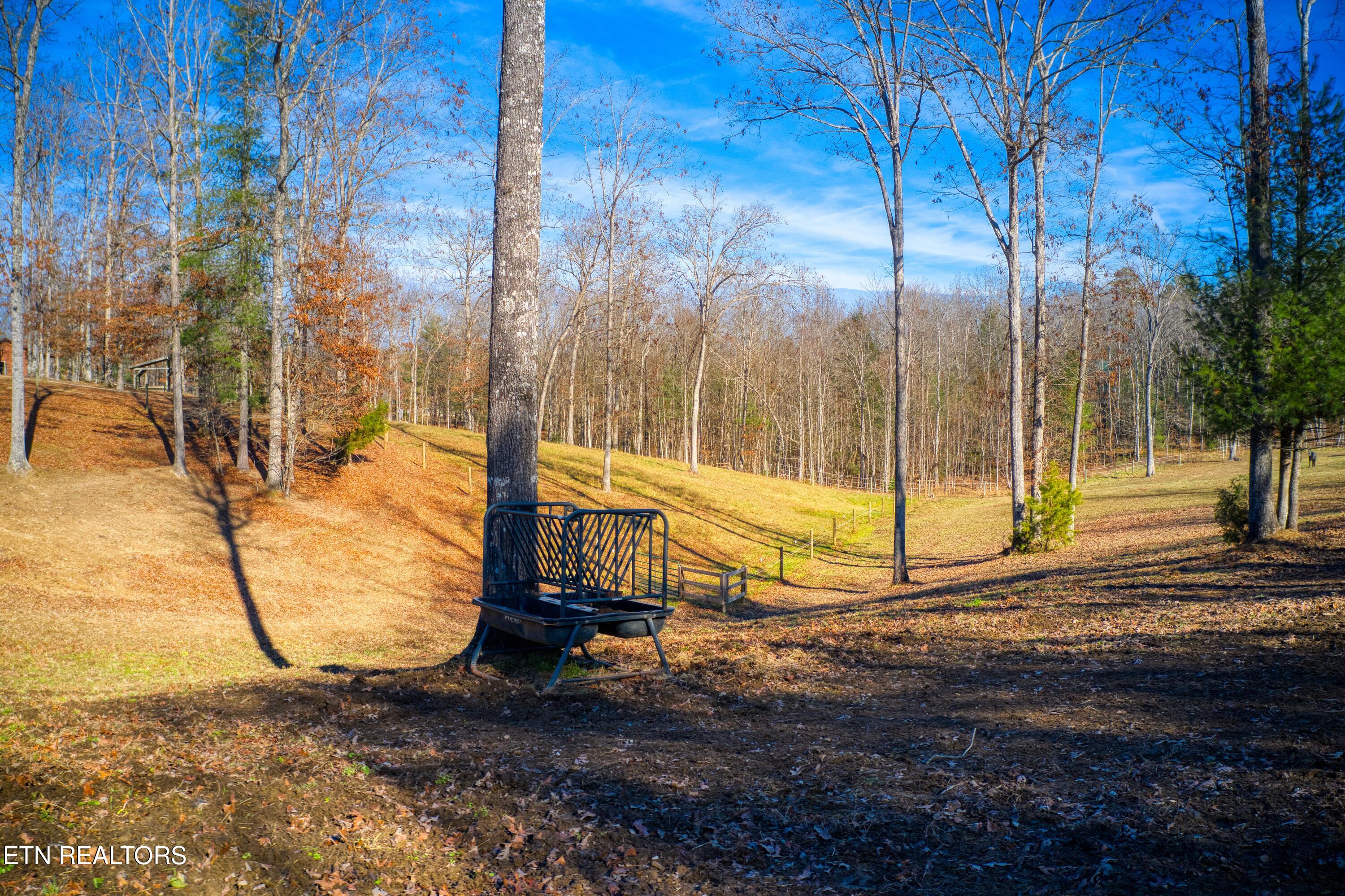 250 Briar Point Road Allardt, TN 38504 - Photo 52 of 59 DJI_0026