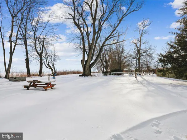 a view of a park with a tree