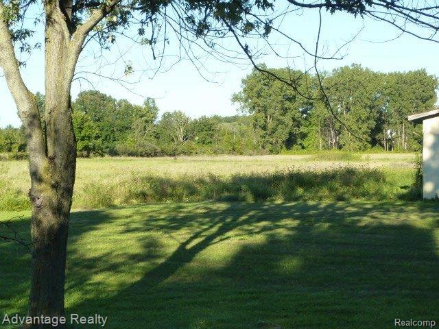 53780 Bates Road New Baltimore, MI 48051 - Photo 28 of 38 P1080224.JPG