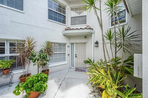 a view of a potted plants next to a building