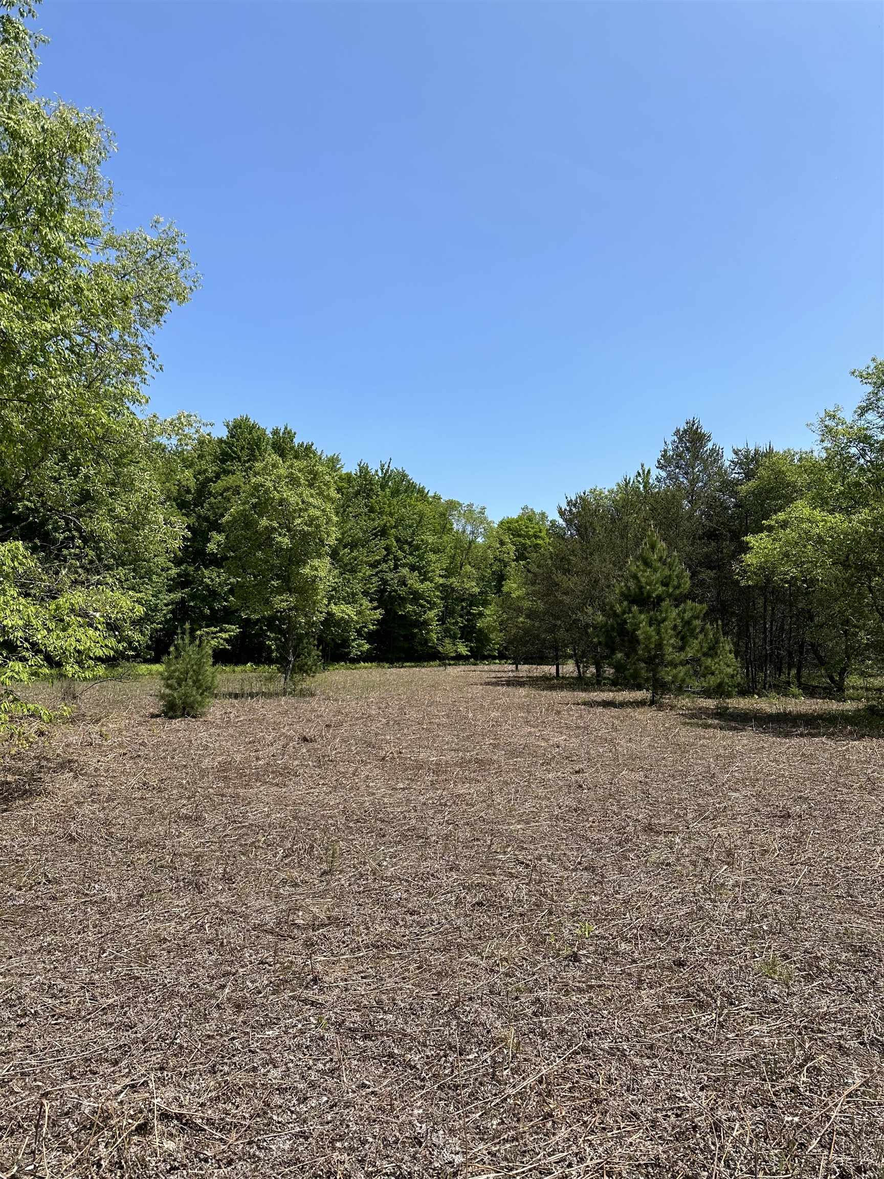 0 Thurman Road Thompsonville, MI 49683 - Photo 17 of 52