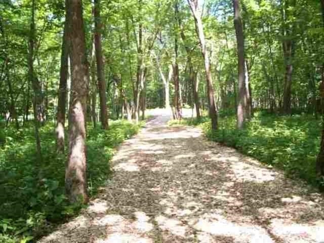 2390 Timber Ridge Drive Plover, WI 54467 - Photo 5 of 7