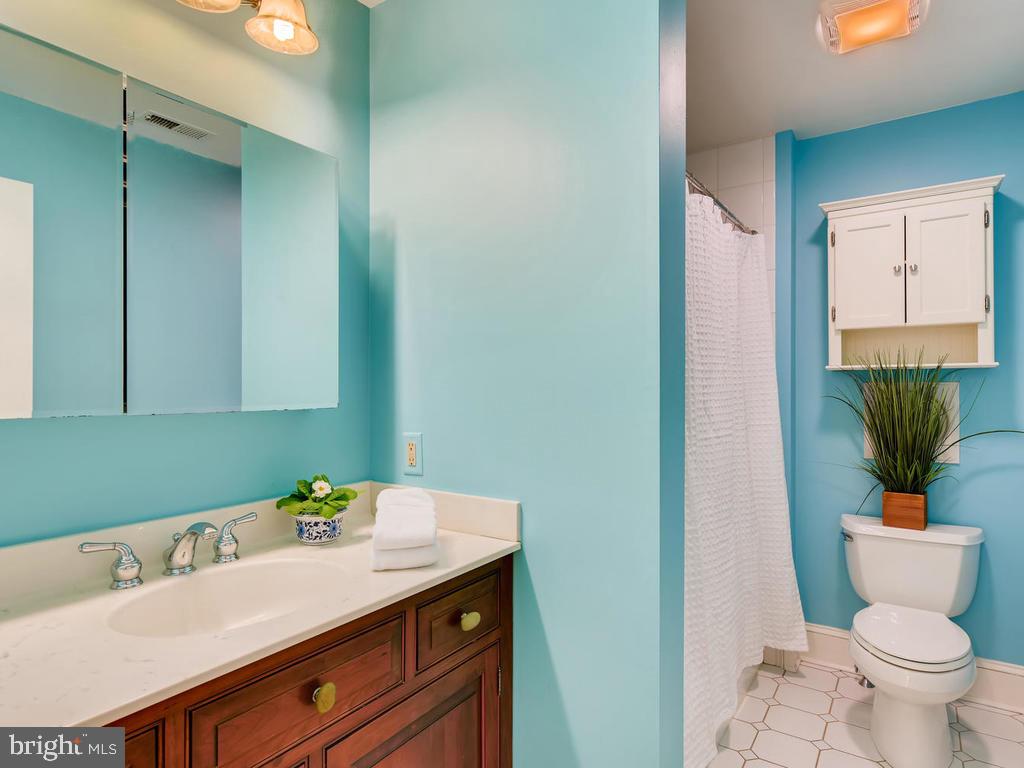 1717 Thornton Ridge Road Towson, MD 21204 - Photo 25 of 49 Bath 2