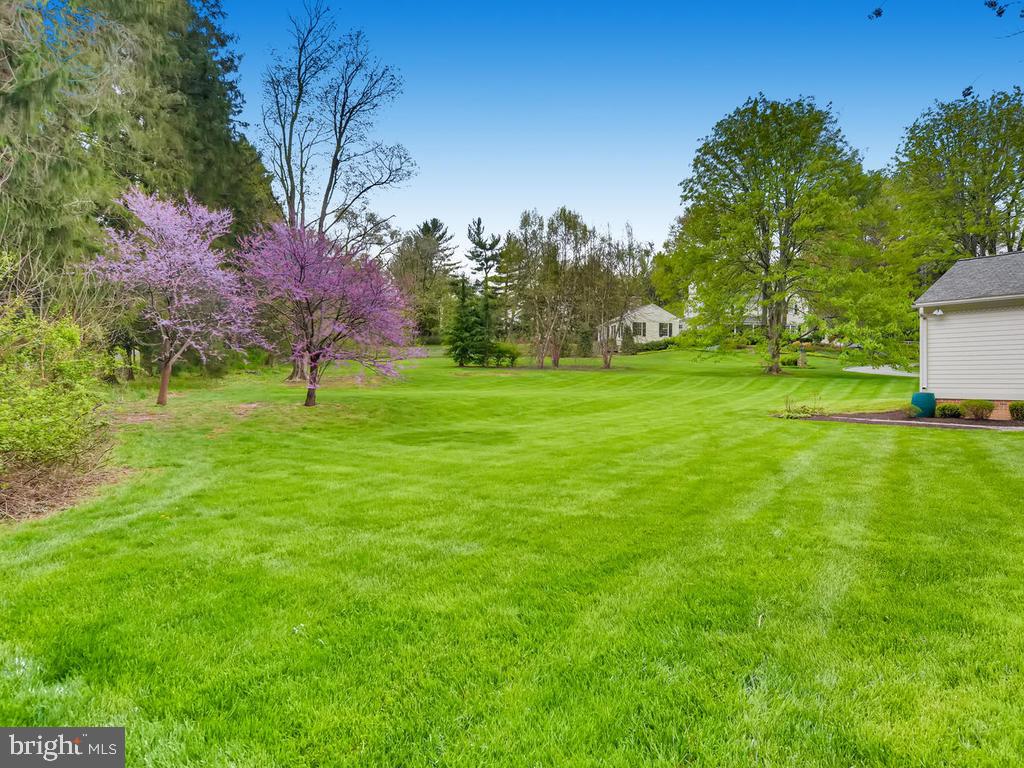 1717 Thornton Ridge Road Towson, MD 21204 - Photo 42 of 49 Long level lawn for play and party tents