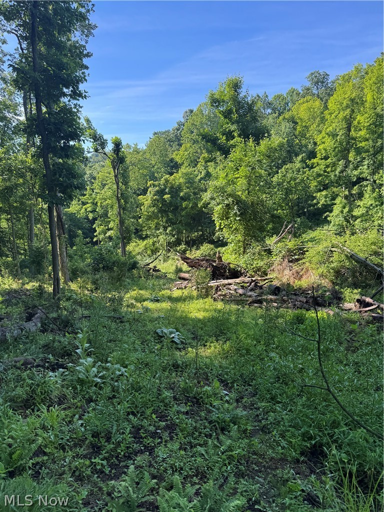Stone Quarry Road Danville, OH 43014 - Photo 28 of 50