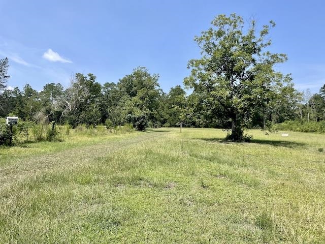 71290 Ralph Gantt Road Little River, AL 36550 - Photo 11 of 31