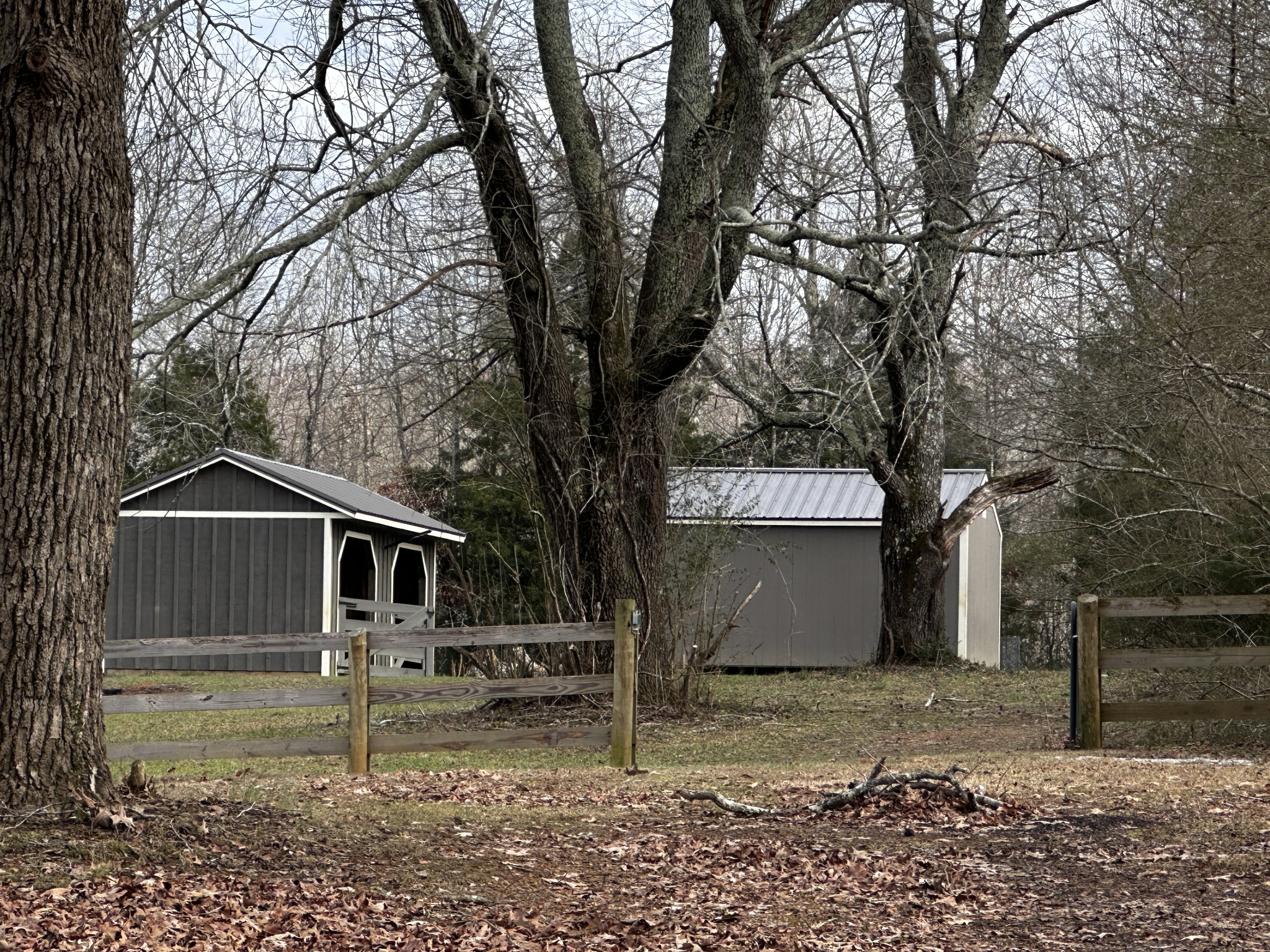 8070 County Road 94 Killen, AL 35645 - Photo 7 of 8