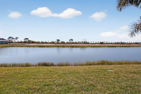 a view of a park with palm trees