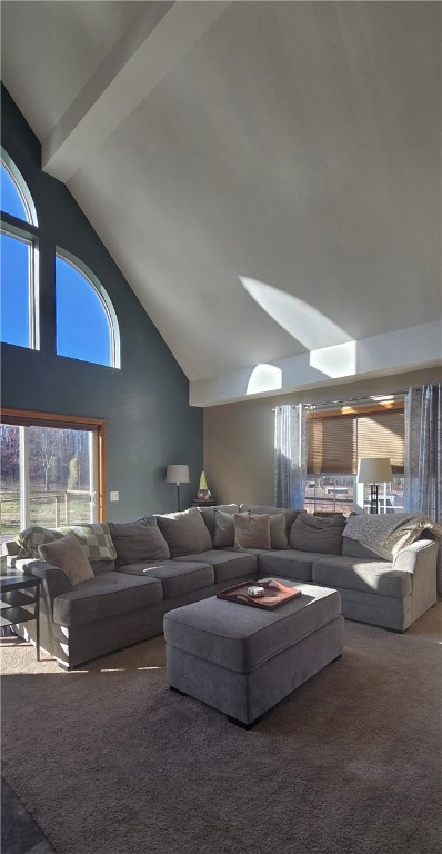 12025 Birch Creek Road Caton, NY 14871 - Photo 11 of 47