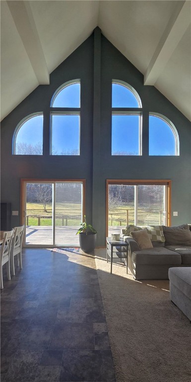 12025 Birch Creek Road Caton, NY 14871 - Photo 13 of 47