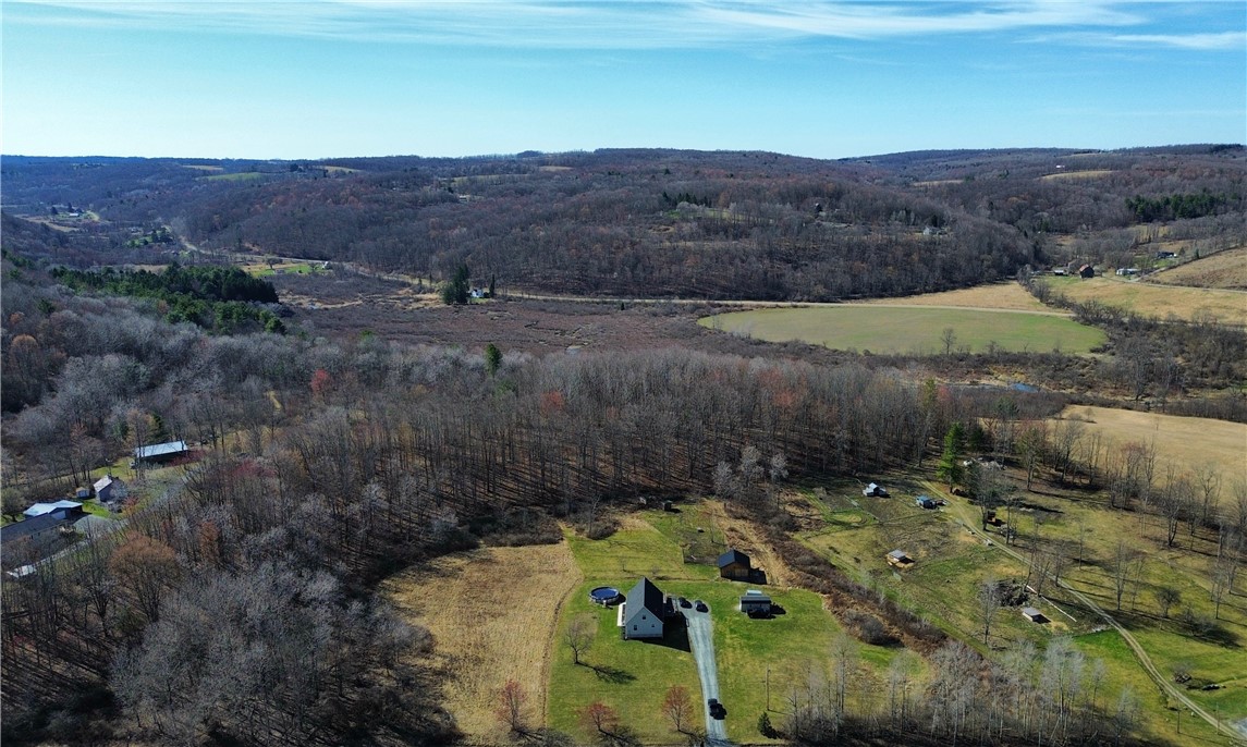 12025 Birch Creek Road Caton, NY 14871 - Photo 3 of 47