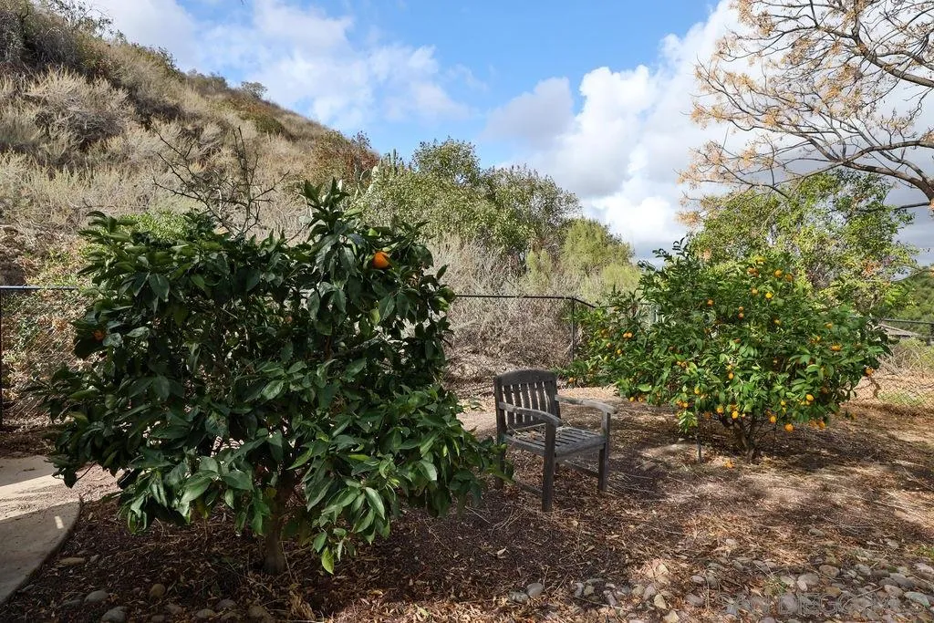 11836 Rocoso Road Lakeside, CA 92040 - Photo 53 of 65 a bench sitting in the middle of a forest