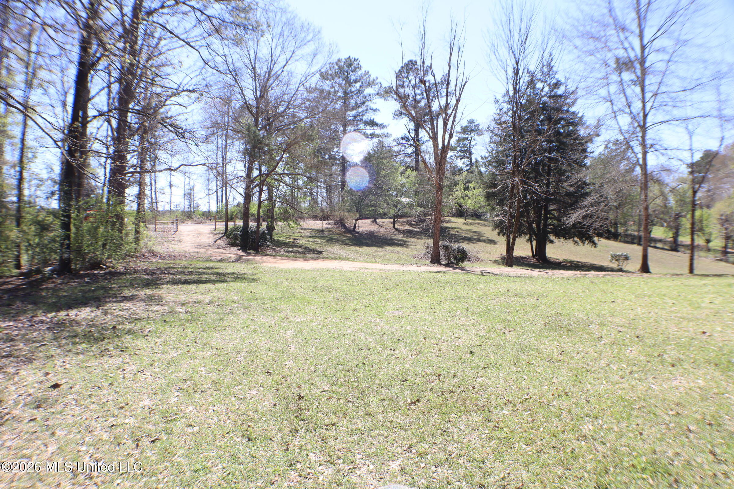 219 Bass Road Florence, MS 39073 - Photo 26 of 75 IMG_3792