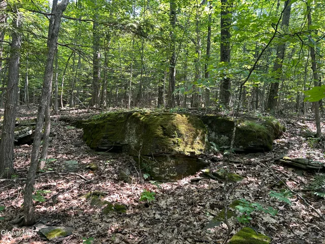 $85,000 | L12.100 Willsie Road, East Berne, NY 12059