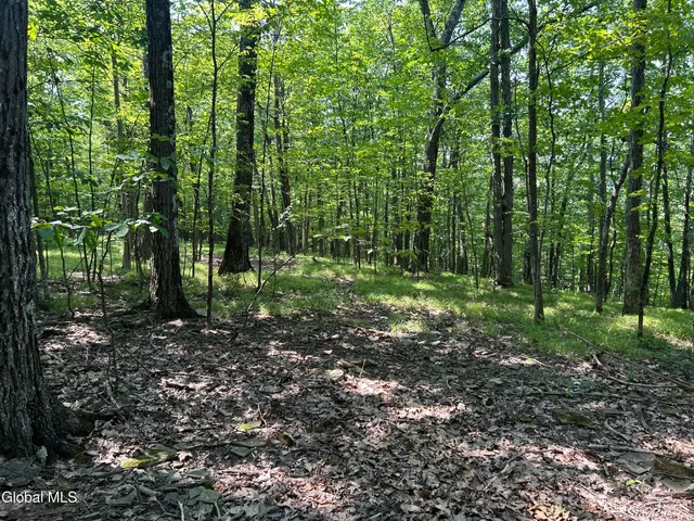 $85,000 | L12.100 Willsie Road, East Berne, NY 12059